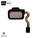 Fingerprint Sensor with Flex Cable Connector for Samsung Galaxy S8 & S8+ G950 & G955 Models - CELL4LESS